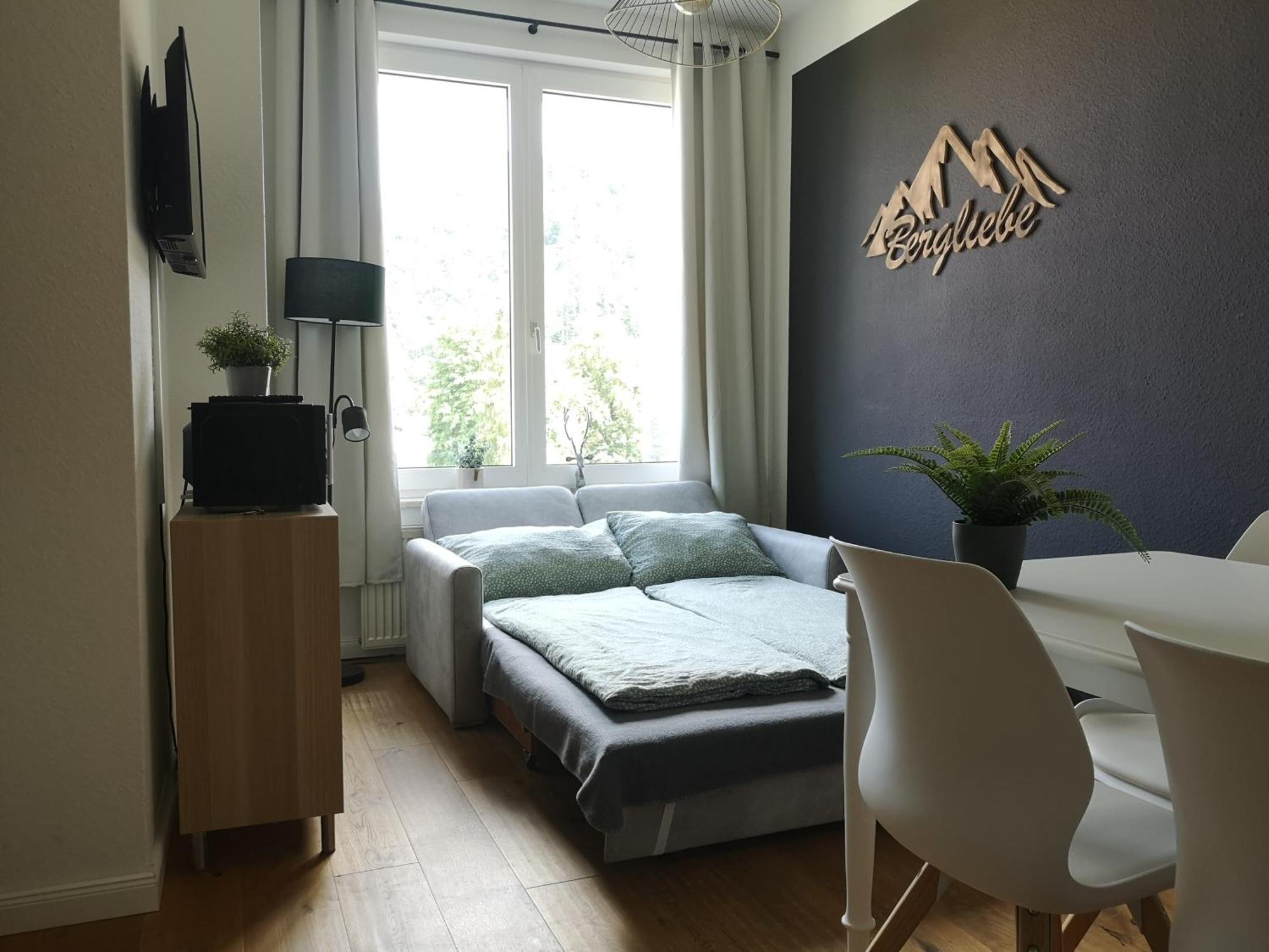 Bergliebe Apartment Bad Harzburg Exterior photo